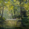 Картина «Лесной ручей» - автор художник Сергей Елизаров, живопись, холст, масло, 40×50 см, 2017 год.