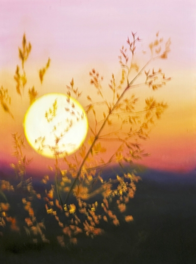 Картина «Солнце» - автор художник Сергей Елизаров, живопись, холст, масло, 40×30 см, 2019 год.