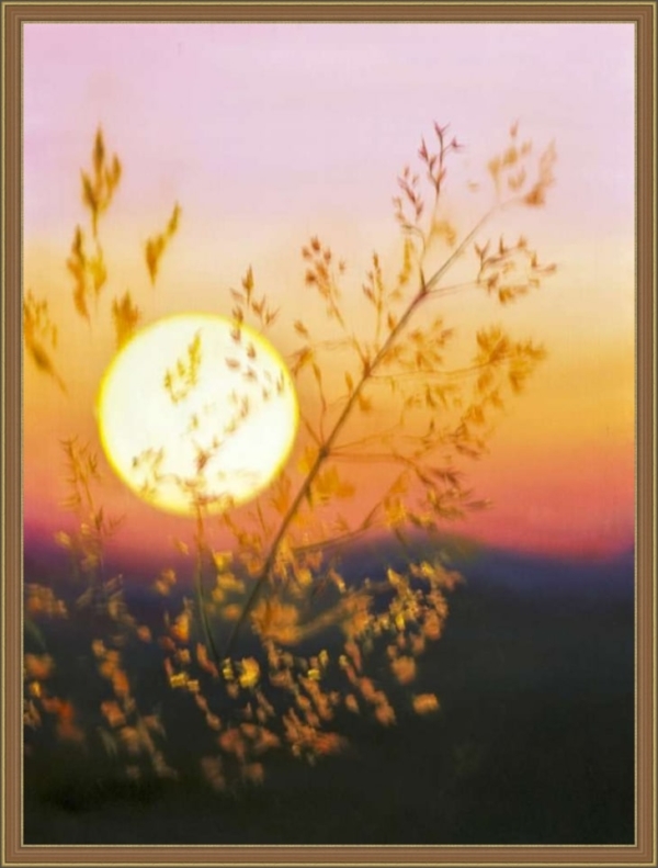 Картина «Солнце» - автор художник Сергей Елизаров, Вид в багетной раме