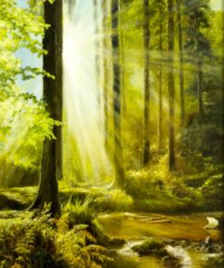 Картина «Утро в лесу» - автор художник Сергей Елизаров, живопись, холст, масло, 50×40 см, 2019 год.