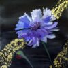 Картина «Голубой цветок» - художник Ксения Соколова