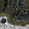 Картина «Округ» (версия 3)